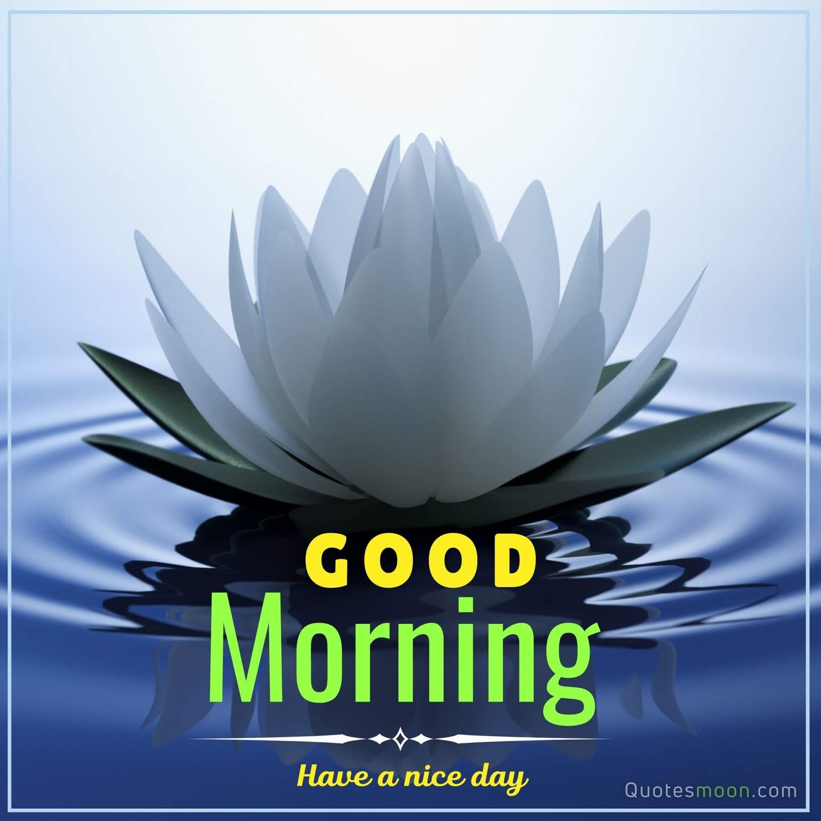  lotus morning wishes images