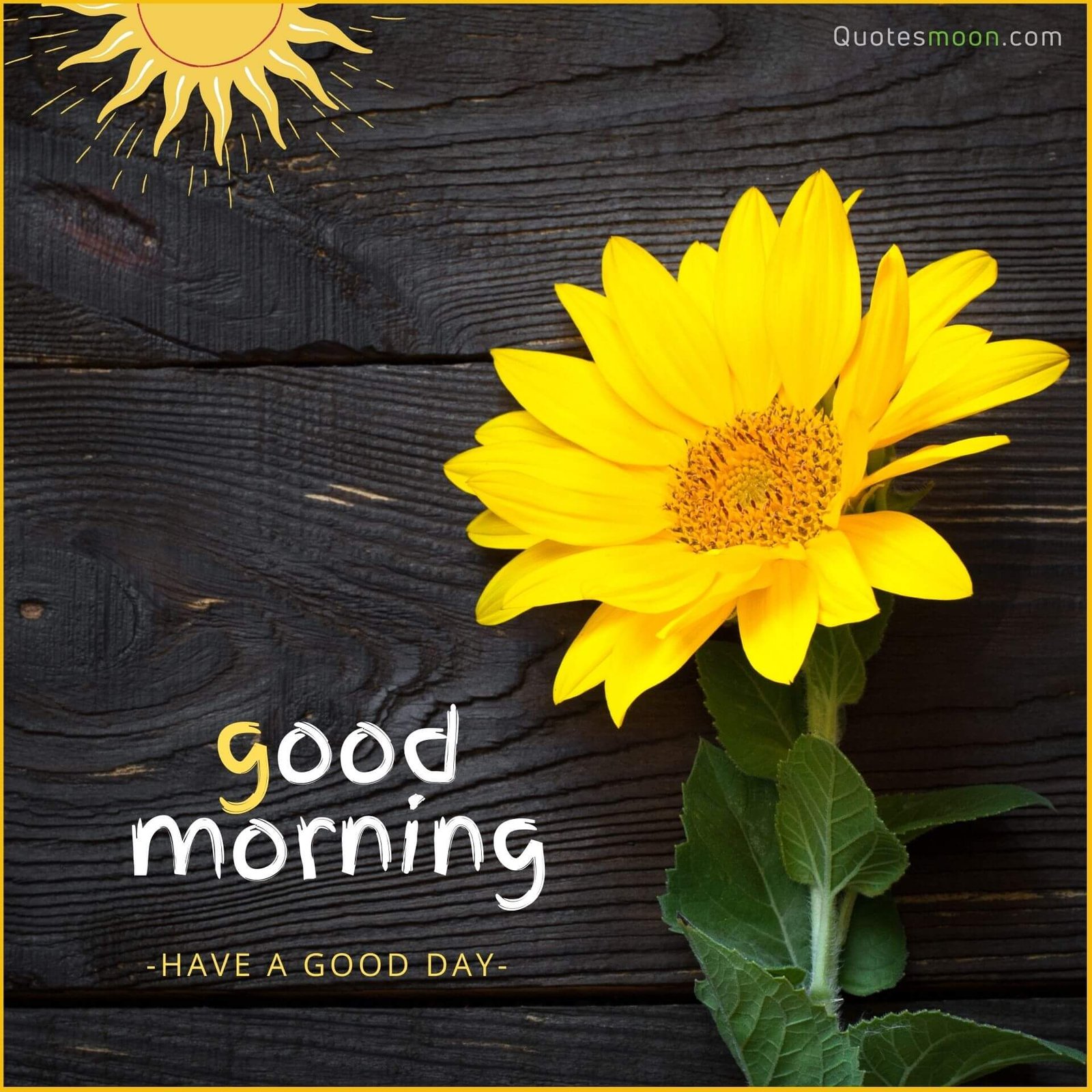 Good Morning Photos Hd Photos Infoupdate Org