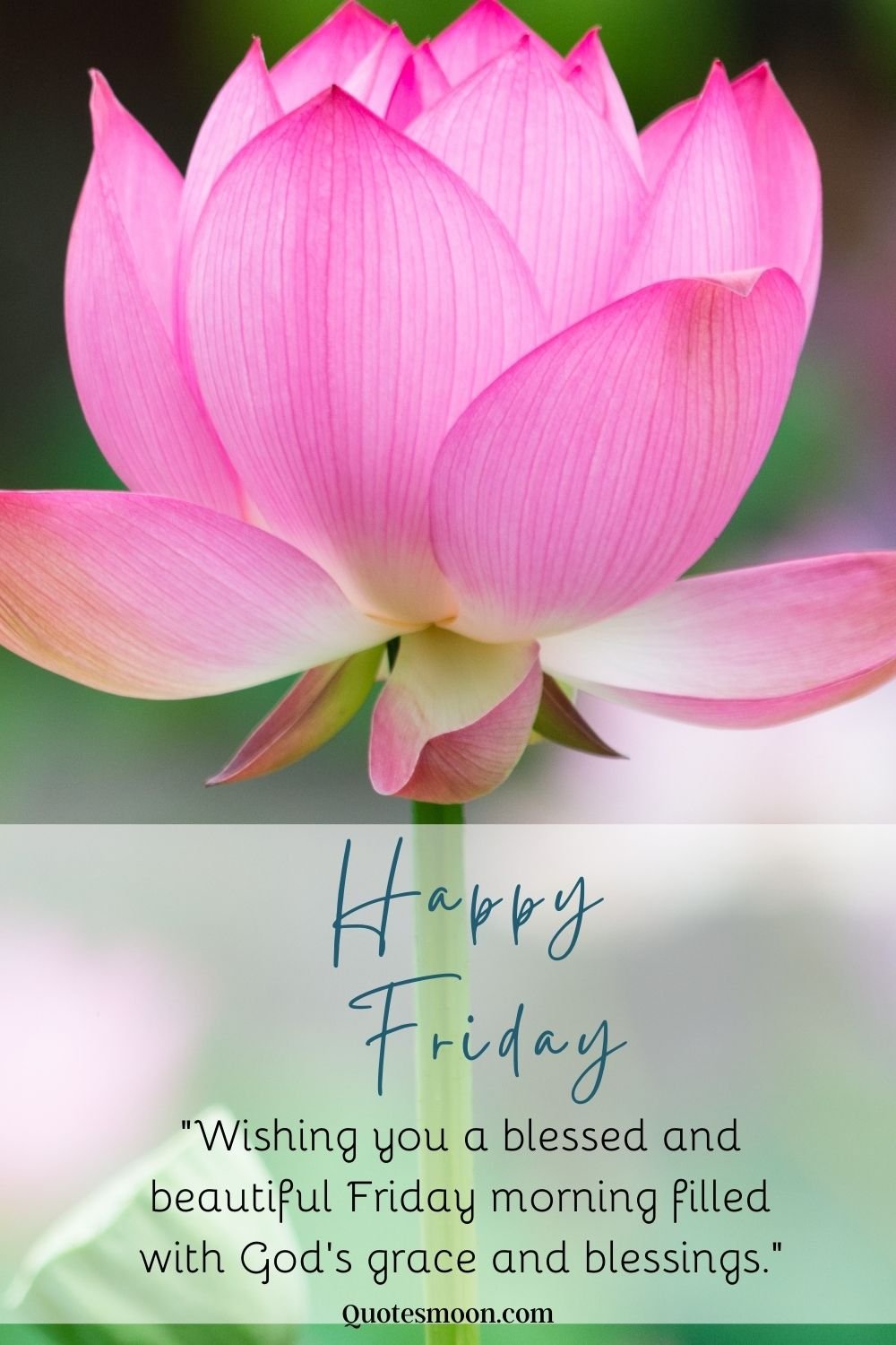 Happy friday blessings and prayers pics New