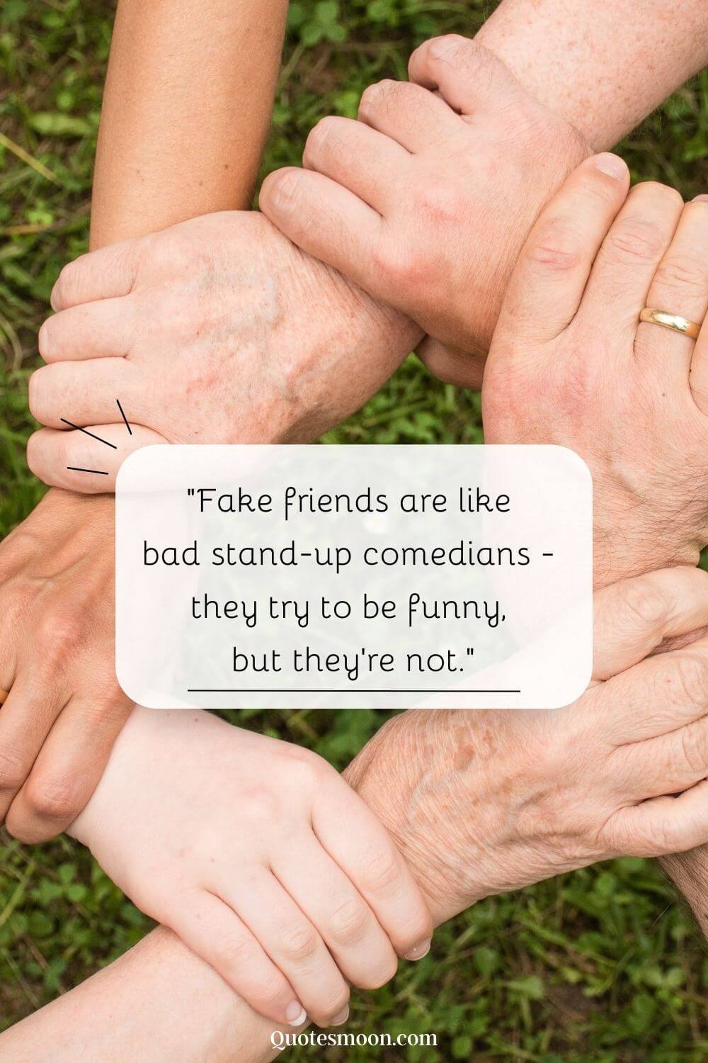 funny quotes about fake friends pics