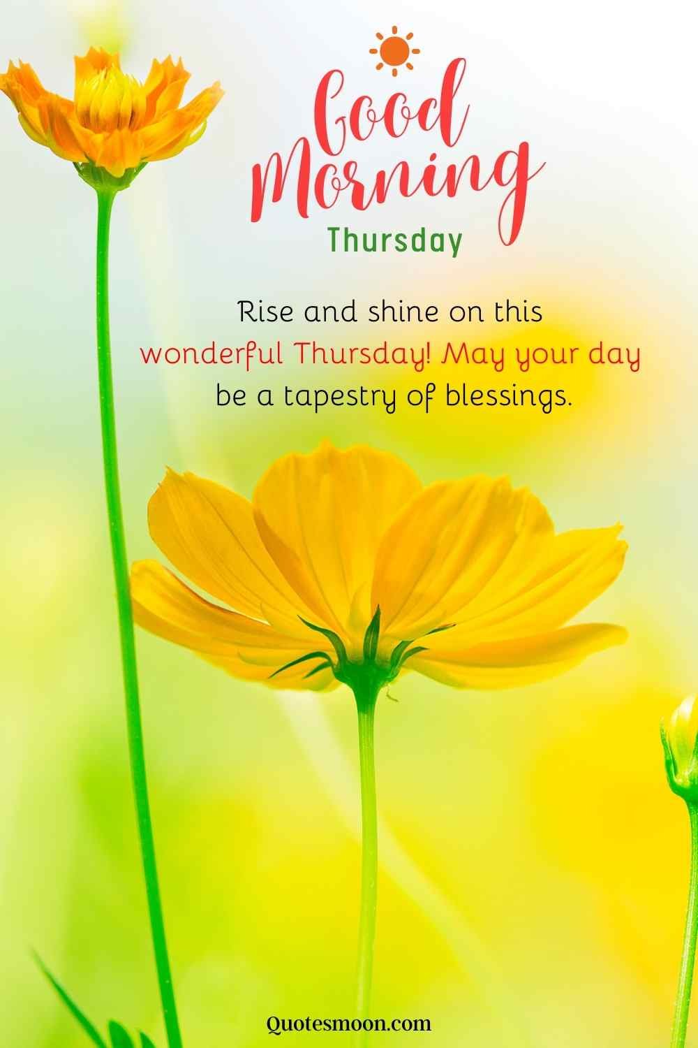 beautiful good morning thursday blessings pic