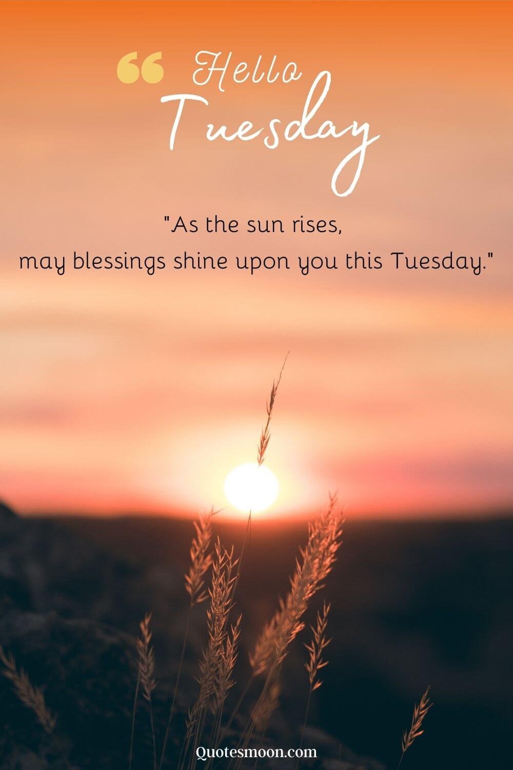 tuesday sunrise morning quotes pic 