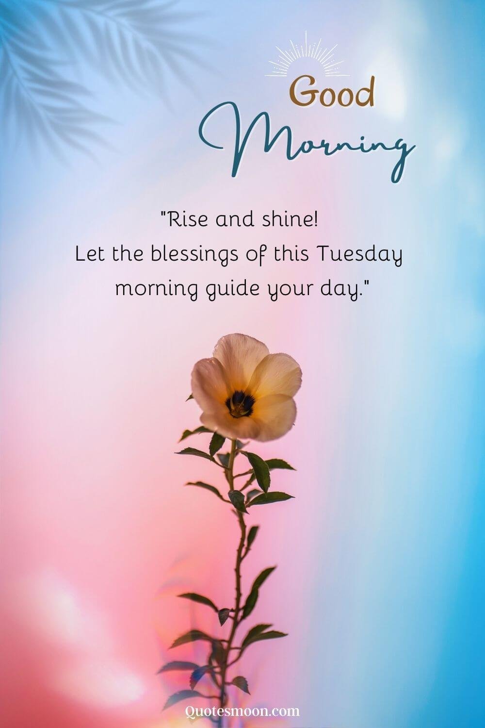 100 Best Tuesday Morning Blessings Images And Quotes