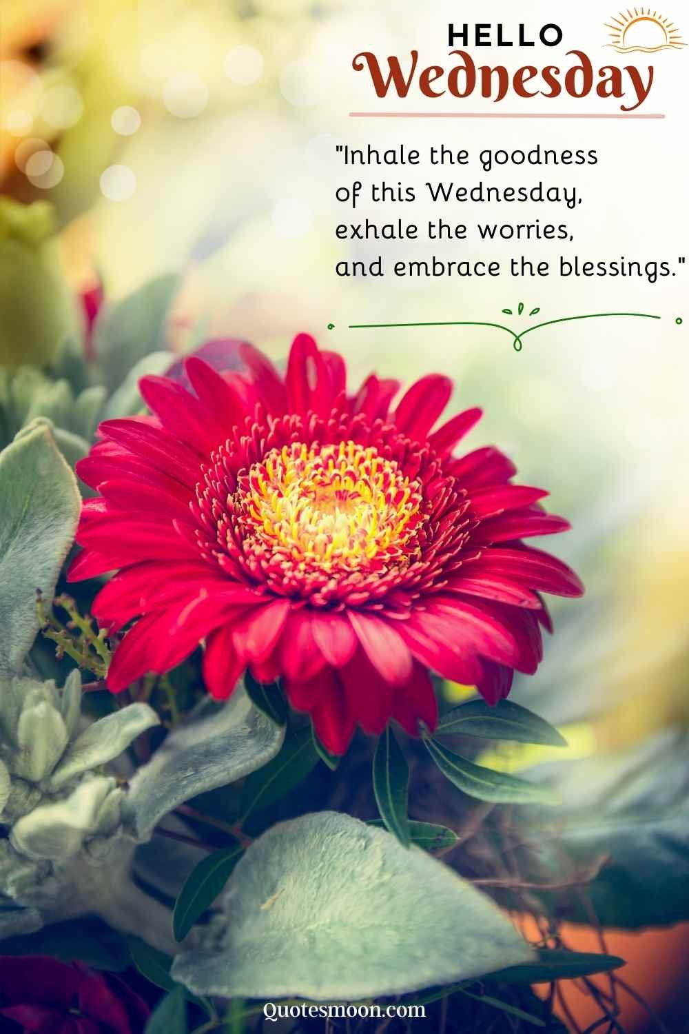 Positivity images with Wednesday Blessings