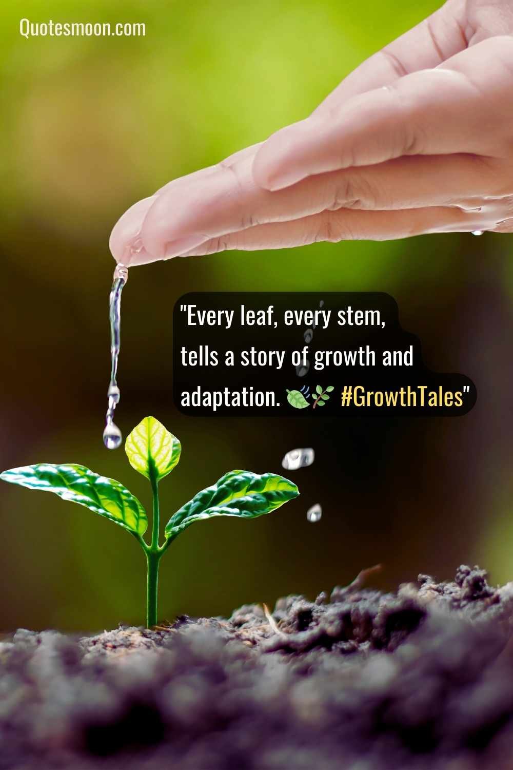 beautiful cute plant quotes about growth