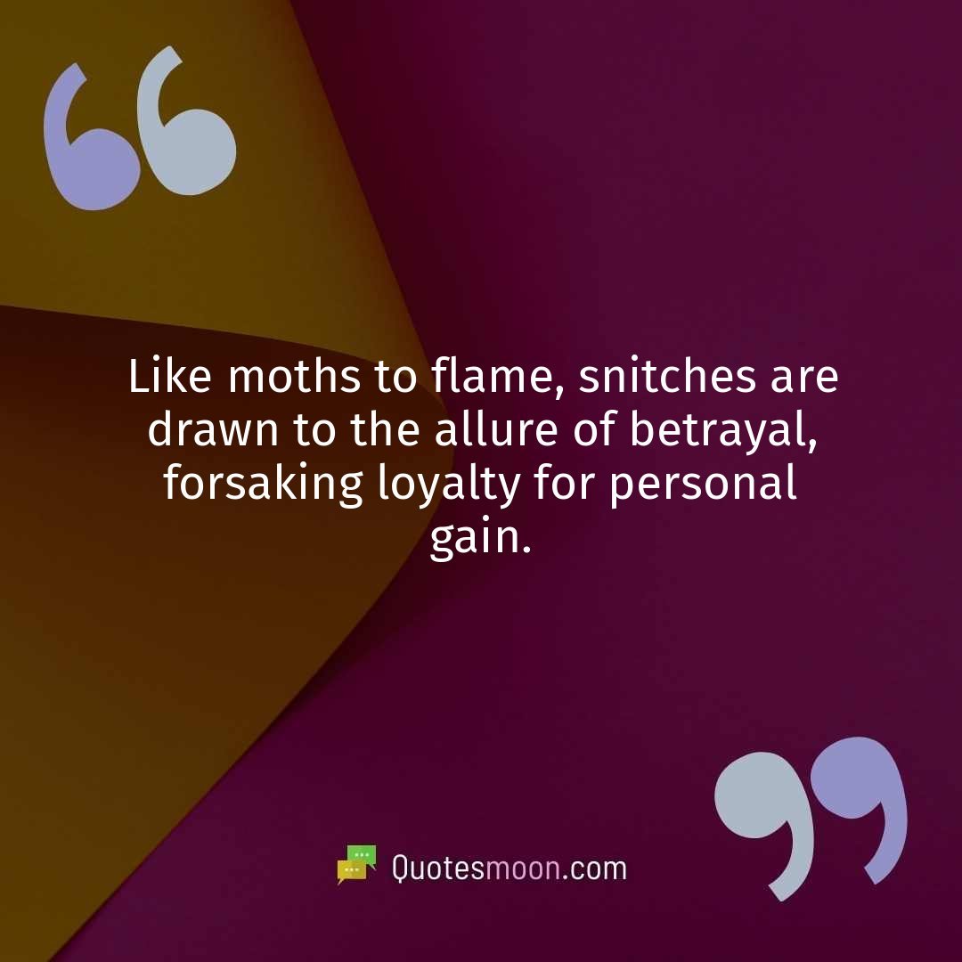 Like moths to flame, snitches are drawn to the allure of betrayal, forsaking loyalty for personal gain.