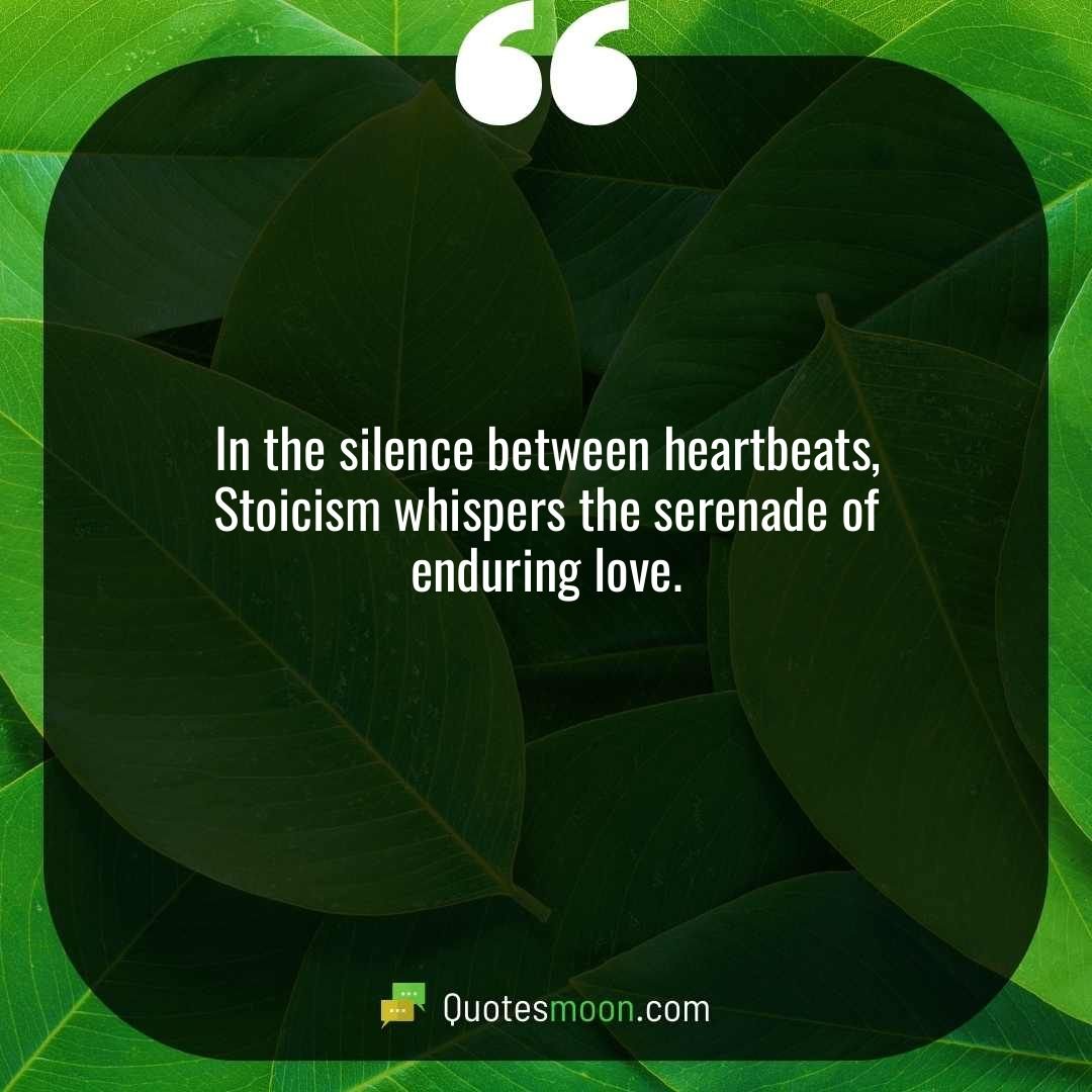In the silence between heartbeats, Stoicism whispers the serenade of enduring love.