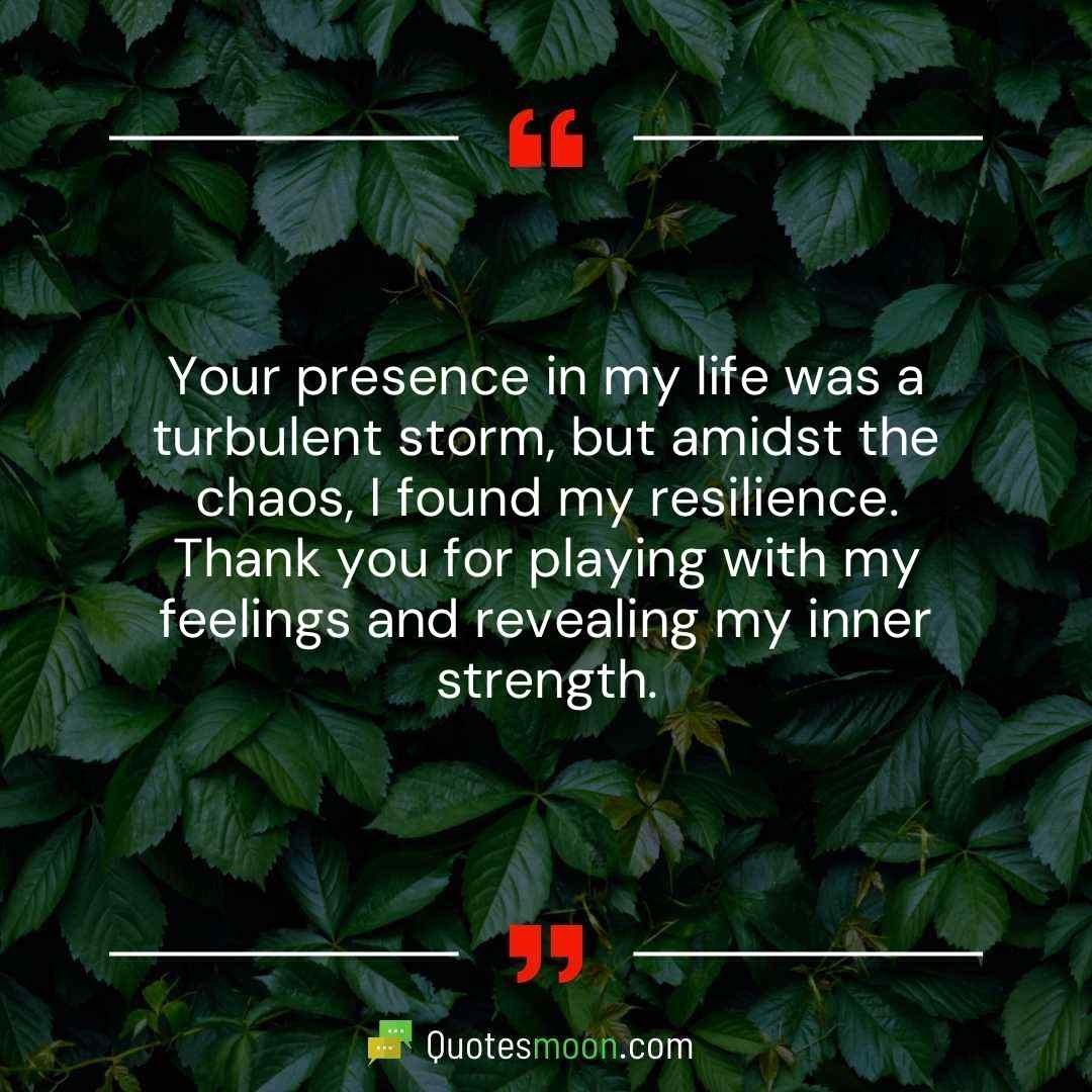 Your presence in my life was a turbulent storm, but amidst the chaos, I found my resilience. Thank you for playing with my feelings and revealing my inner strength.