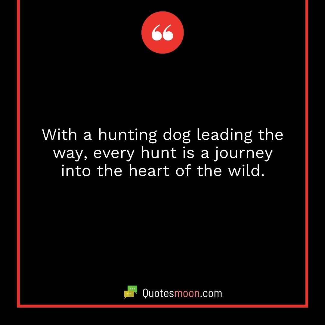 With a hunting dog leading the way, every hunt is a journey into the heart of the wild.