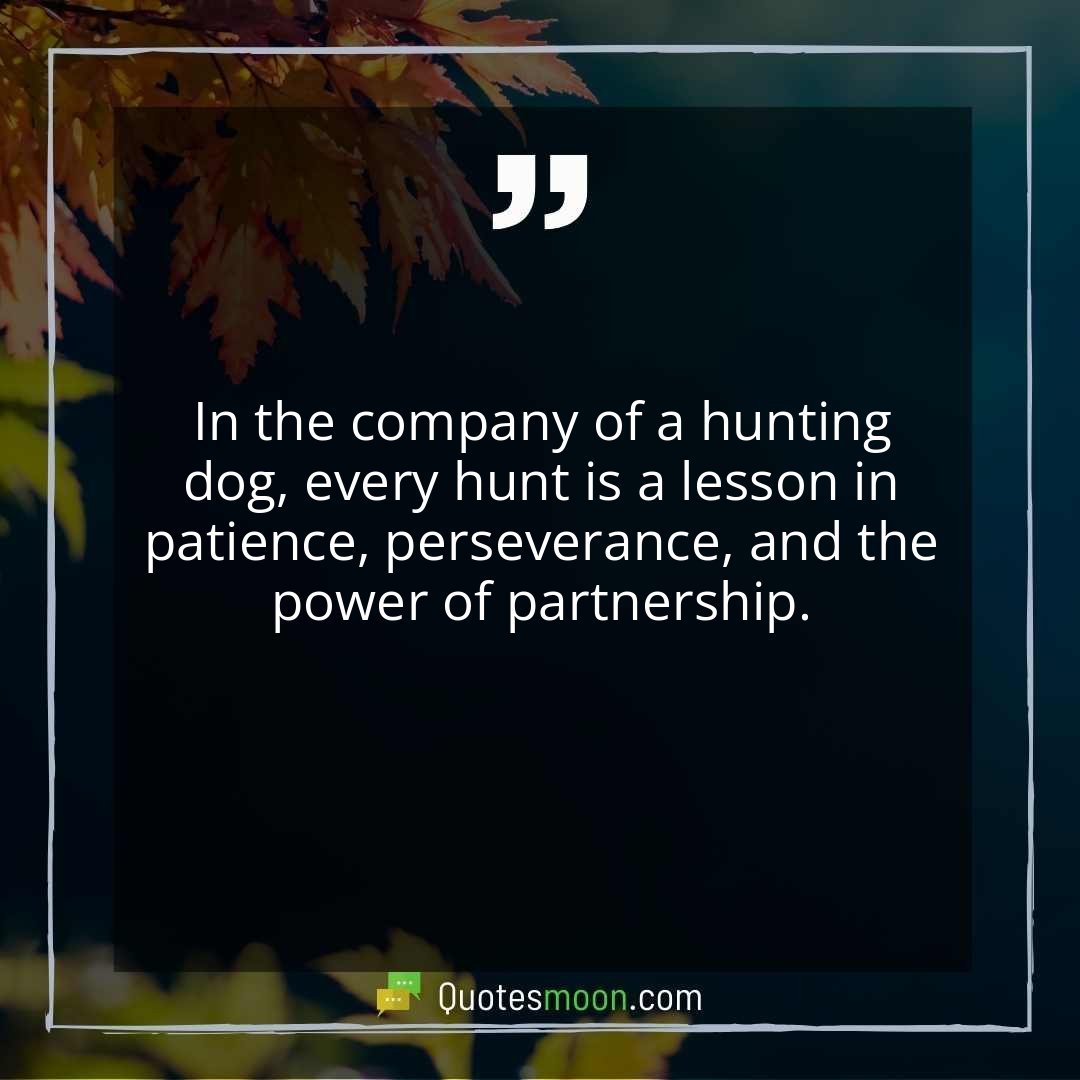 In the company of a hunting dog, every hunt is a lesson in patience, perseverance, and the power of partnership.