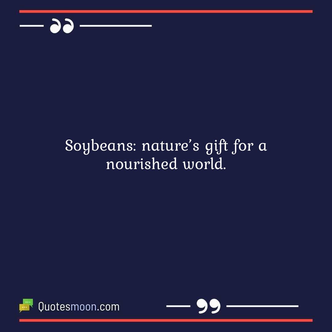 Soybeans: nature’s gift for a nourished world.