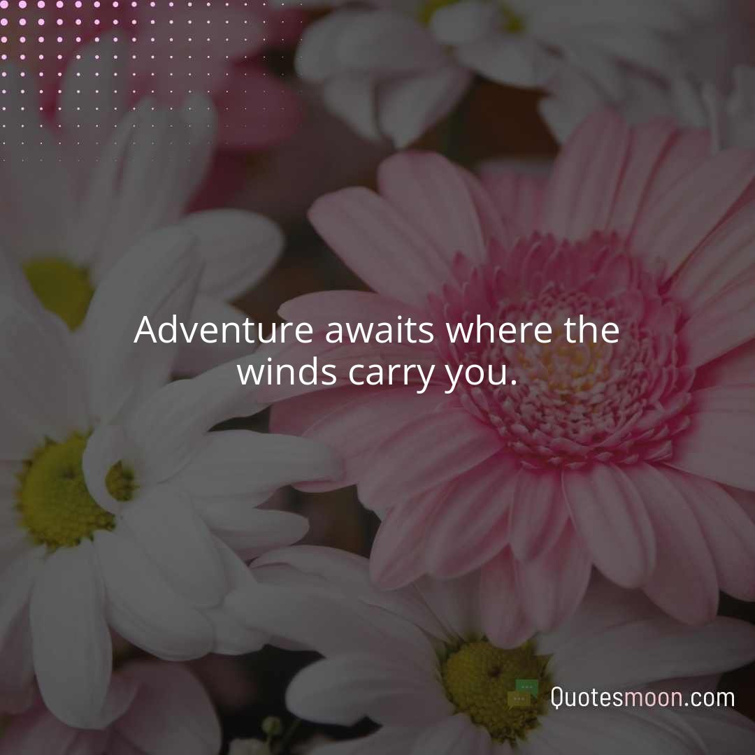 Adventure awaits where the winds carry you.