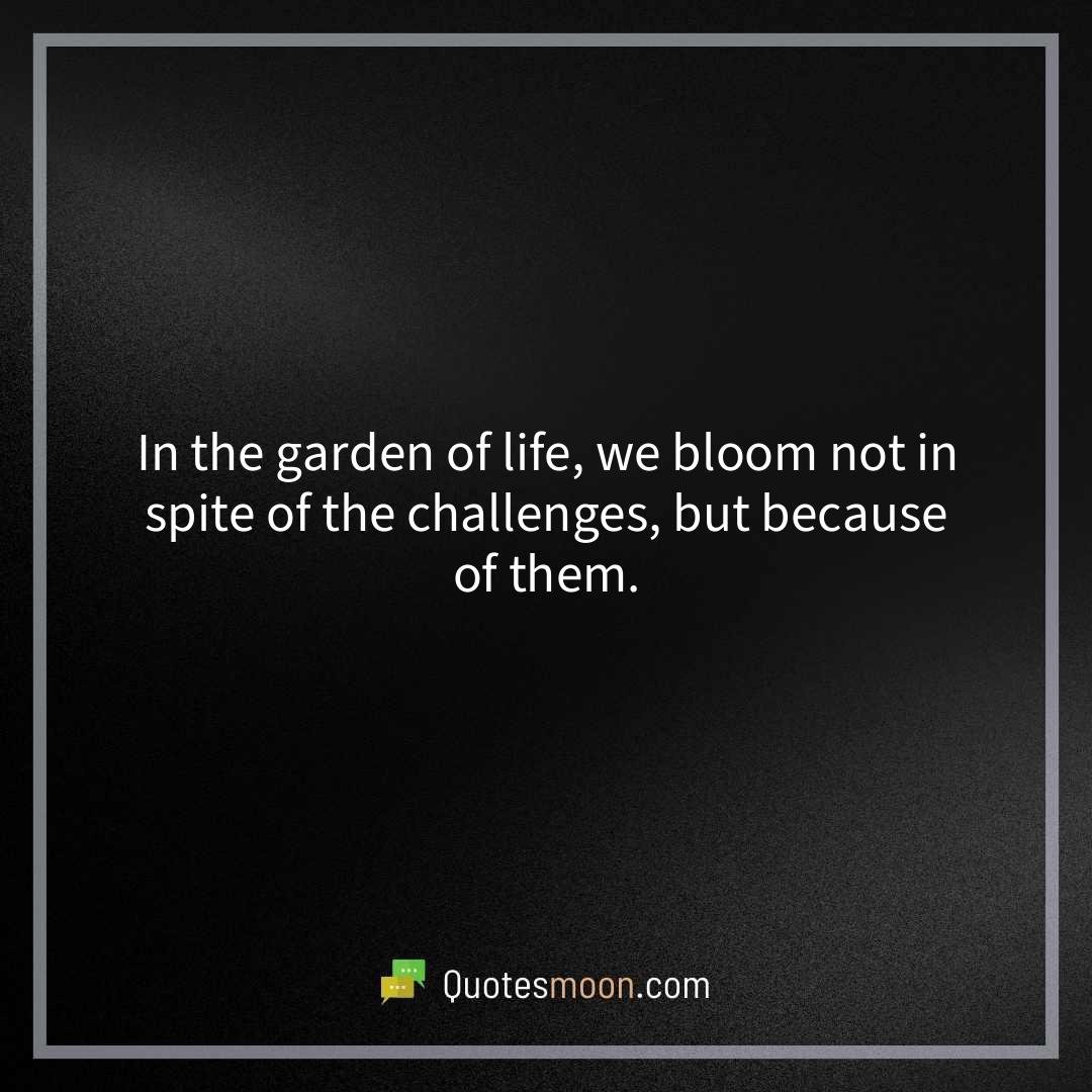 In the garden of life, we bloom not in spite of the challenges, but because of them.