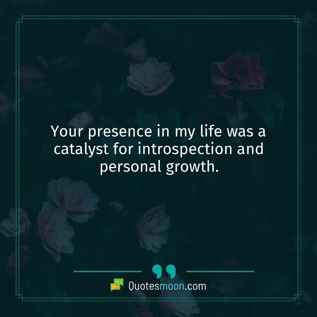 Your presence in my life was a catalyst for introspection and personal growth.