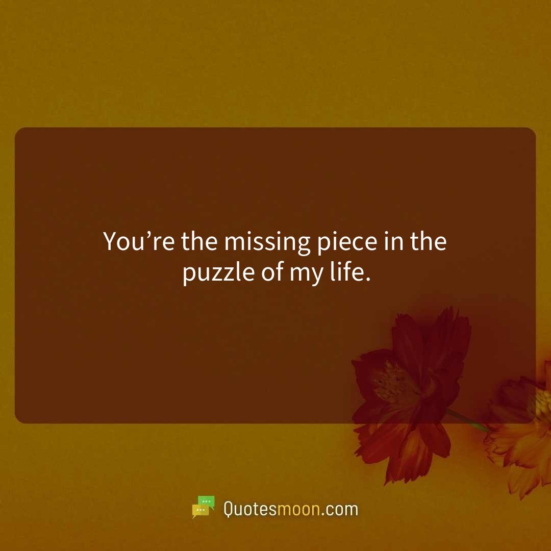 You’re the missing piece in the puzzle of my life.
