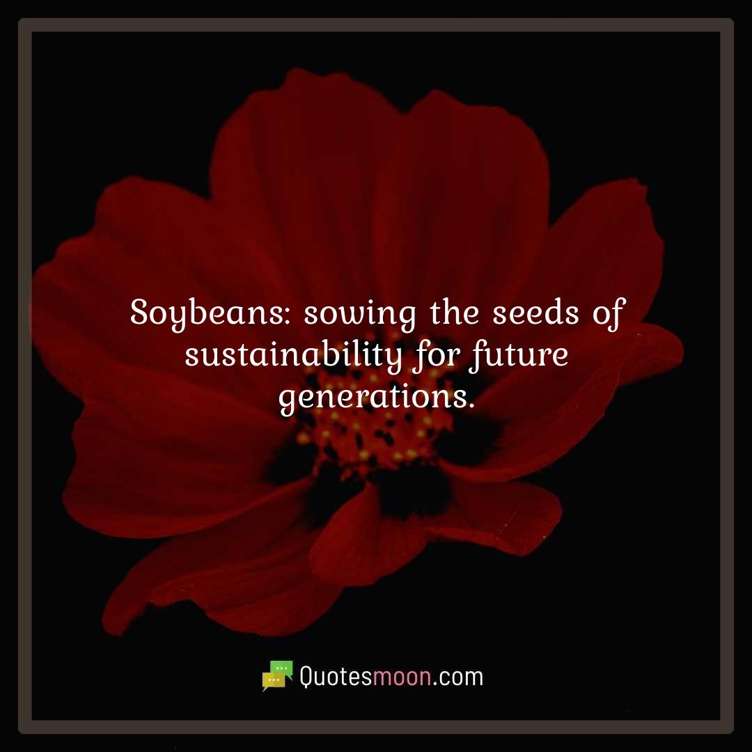 Soybeans: sowing the seeds of sustainability for future generations.