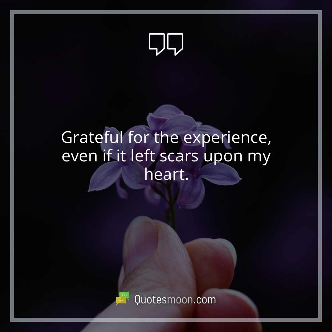 Grateful for the experience, even if it left scars upon my heart.