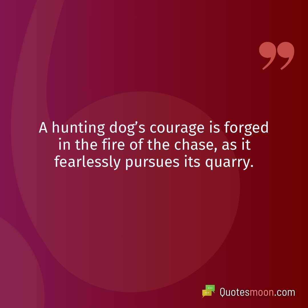 A hunting dog’s courage is forged in the fire of the chase, as it fearlessly pursues its quarry.