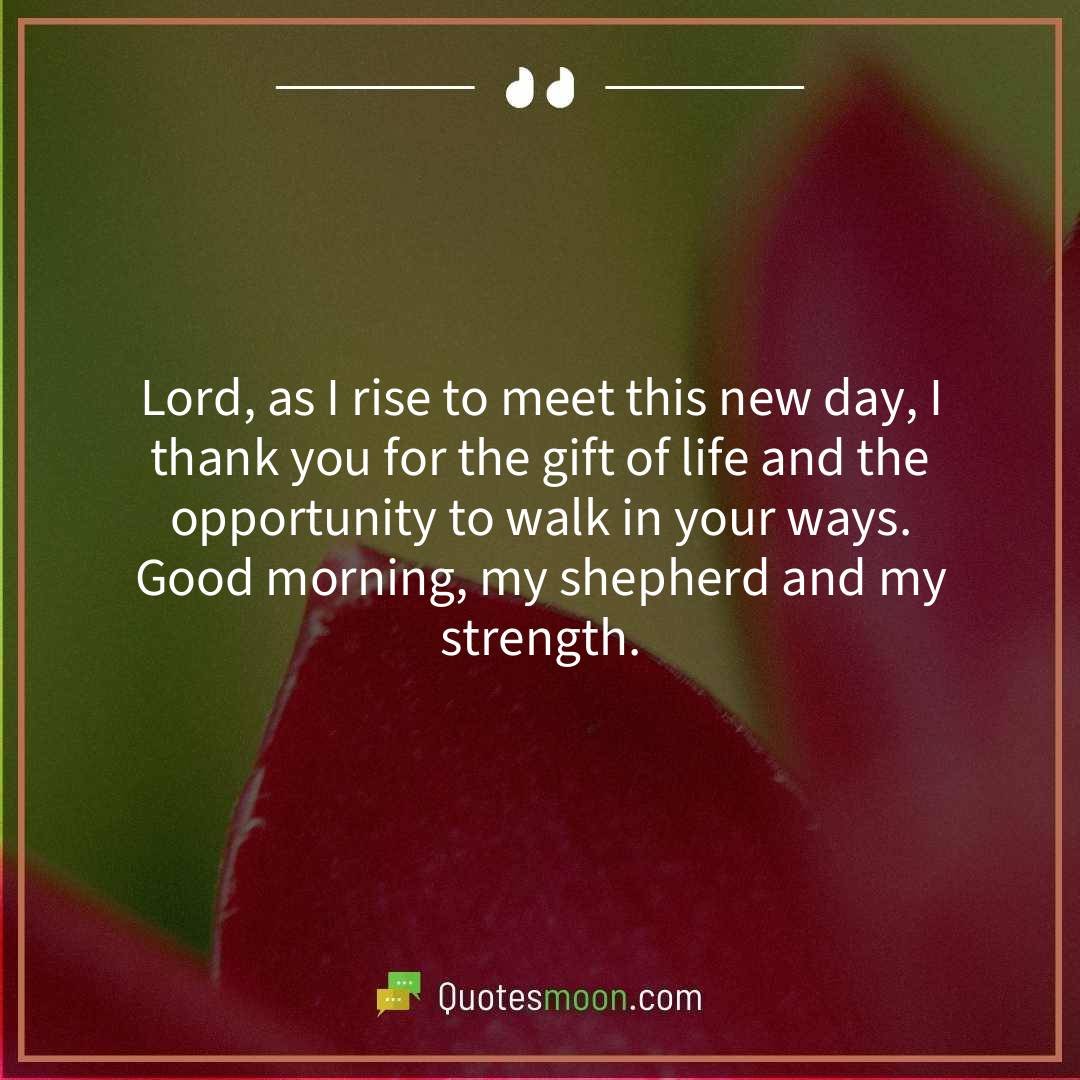 Lord, as I rise to meet this new day, I thank you for the gift of life and the opportunity to walk in your ways. Good morning, my shepherd and my strength.