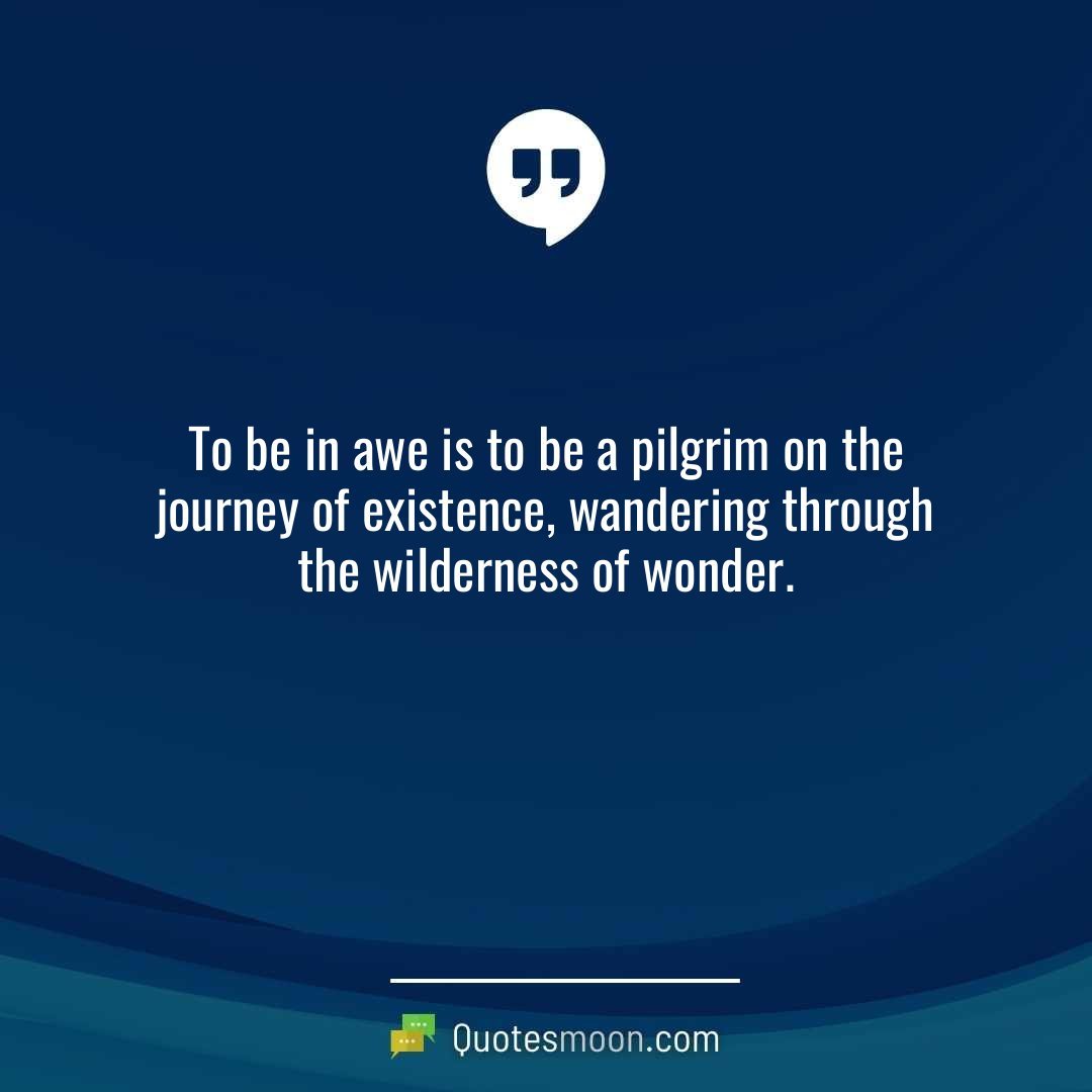To be in awe is to be a pilgrim on the journey of existence, wandering through the wilderness of wonder.