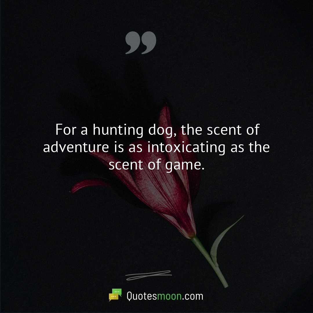 For a hunting dog, the scent of adventure is as intoxicating as the scent of game.