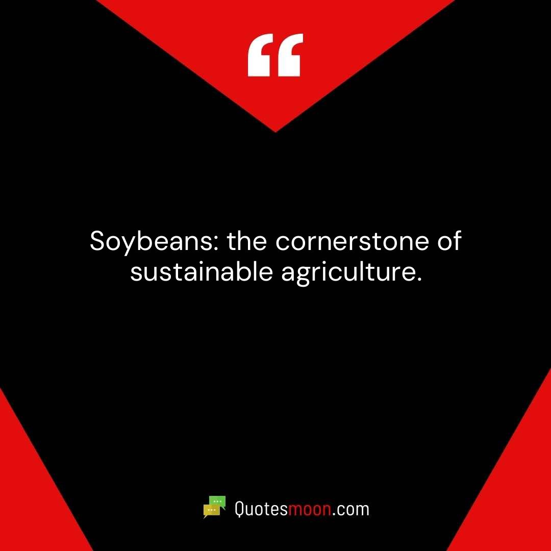 Soybeans: the cornerstone of sustainable agriculture.