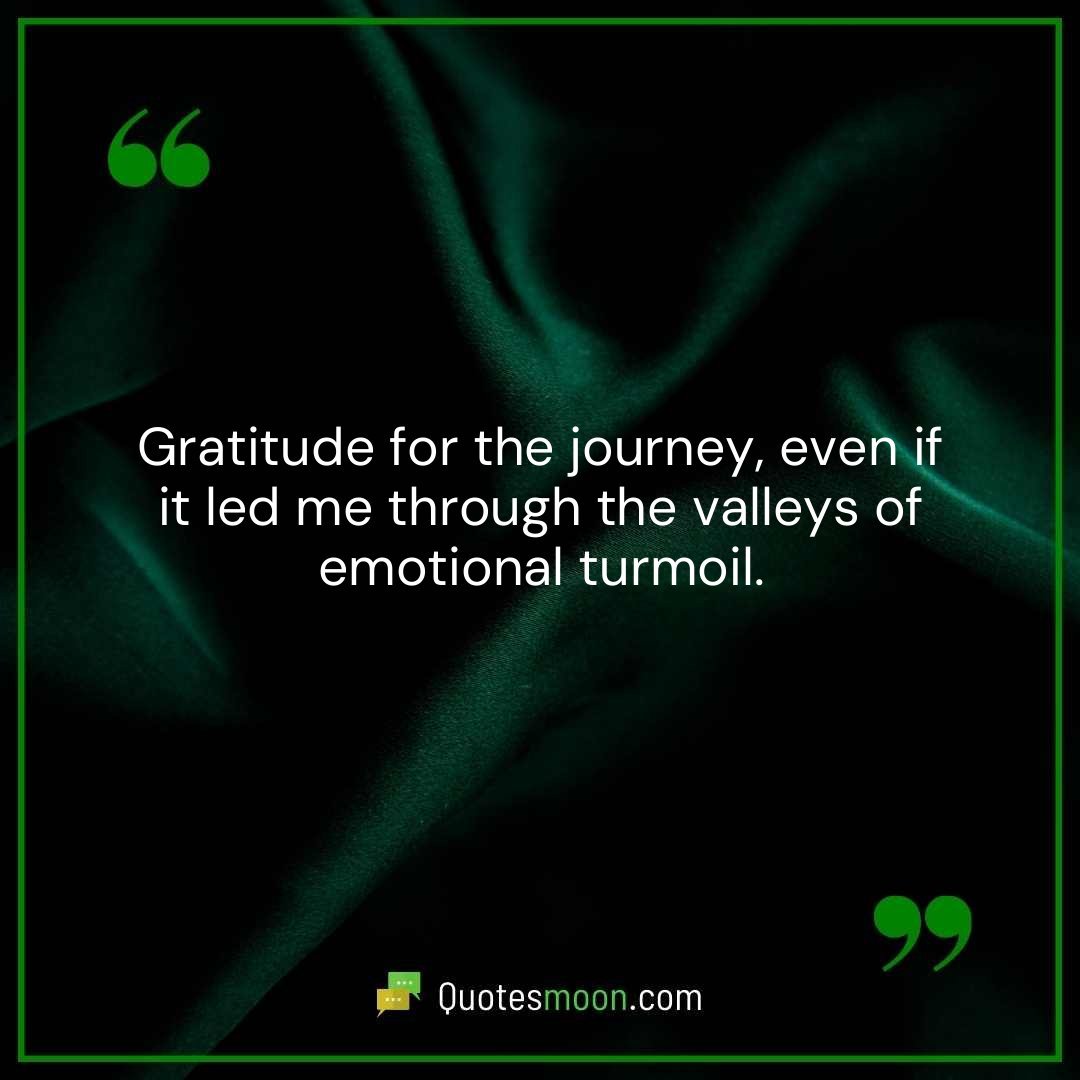 Gratitude for the journey, even if it led me through the valleys of emotional turmoil.