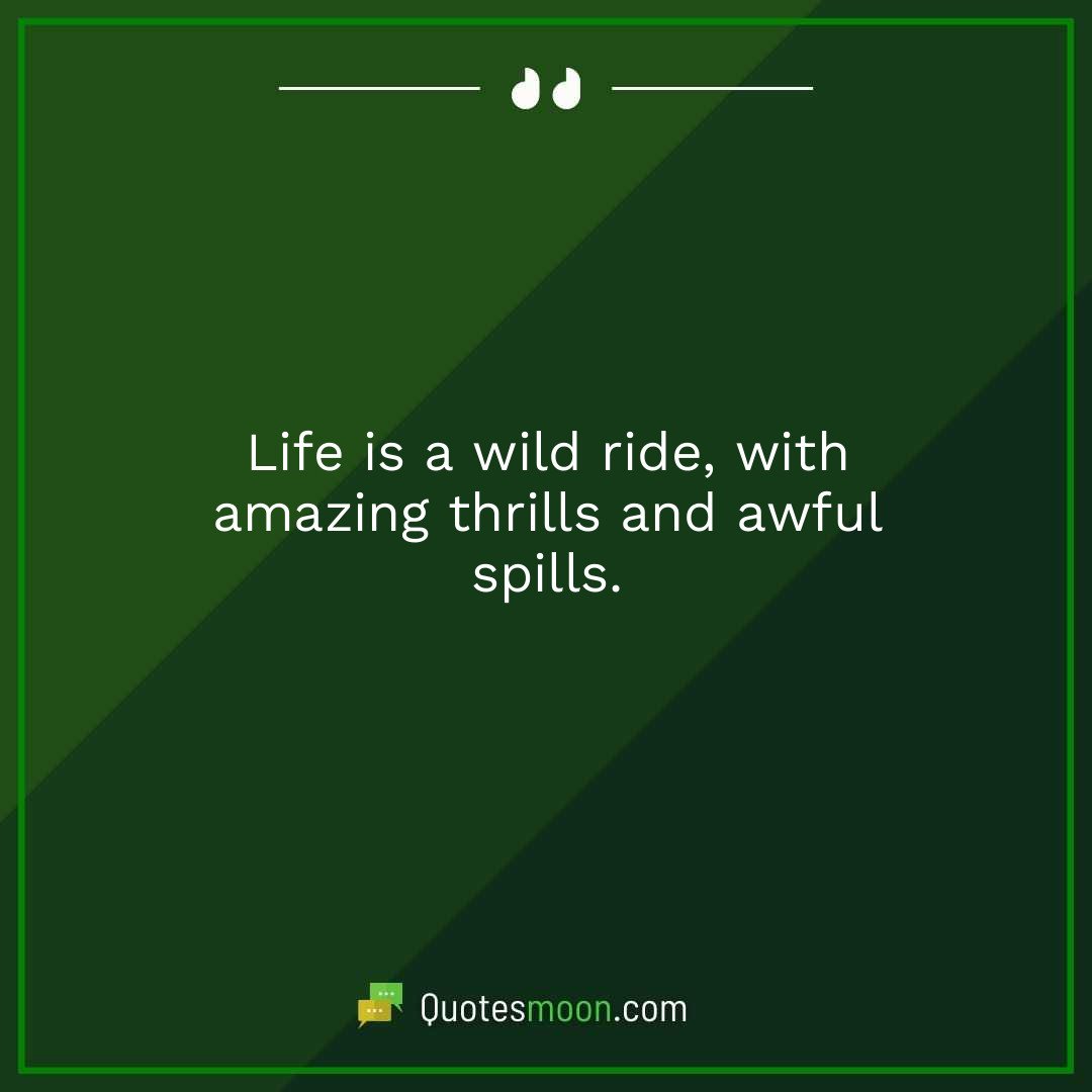 Life is a wild ride, with amazing thrills and awful spills.