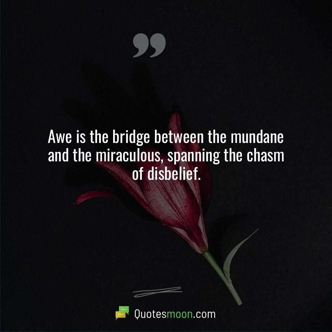 Awe is the bridge between the mundane and the miraculous, spanning the chasm of disbelief.