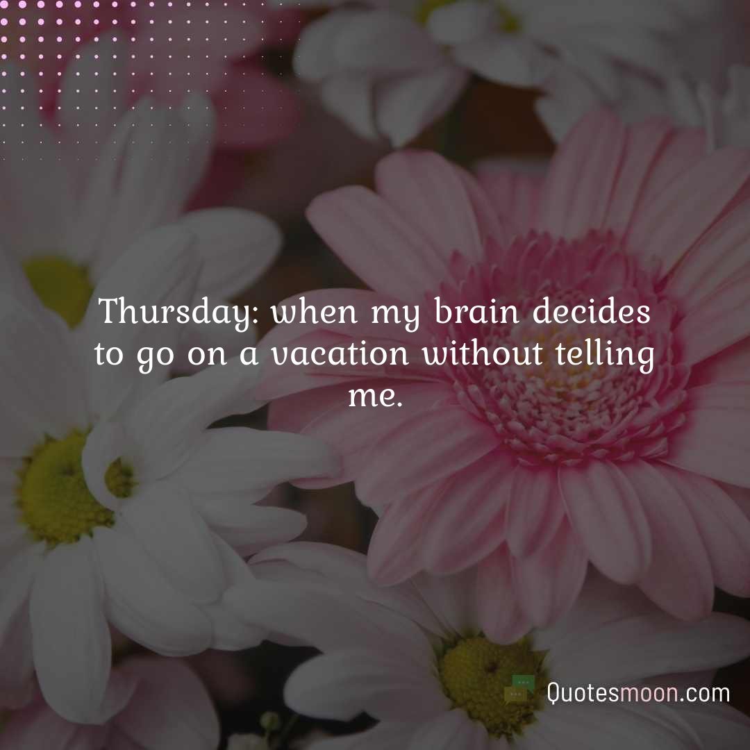 Thursday: when my brain decides to go on a vacation without telling me.