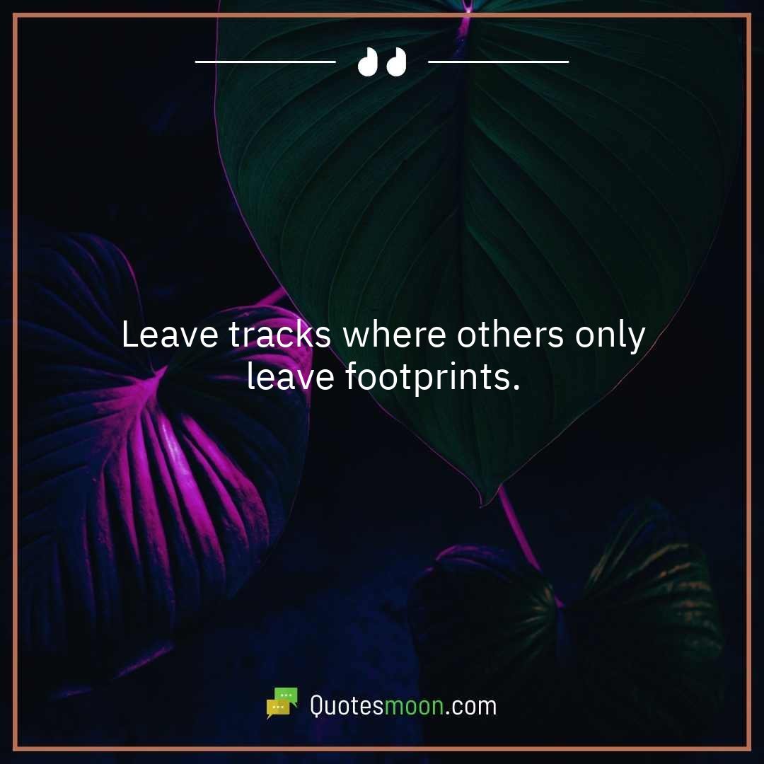 Leave tracks where others only leave footprints.