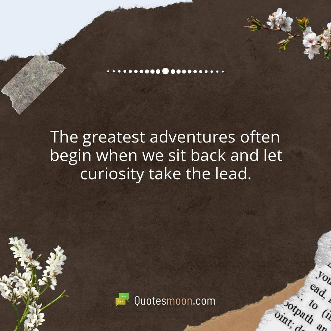 The greatest adventures often begin when we sit back and let curiosity take the lead.