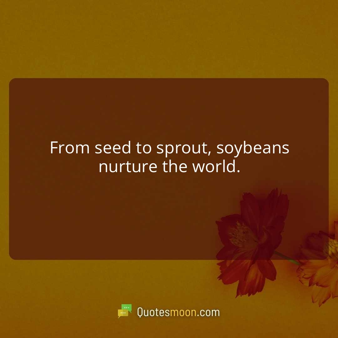 From seed to sprout, soybeans nurture the world.