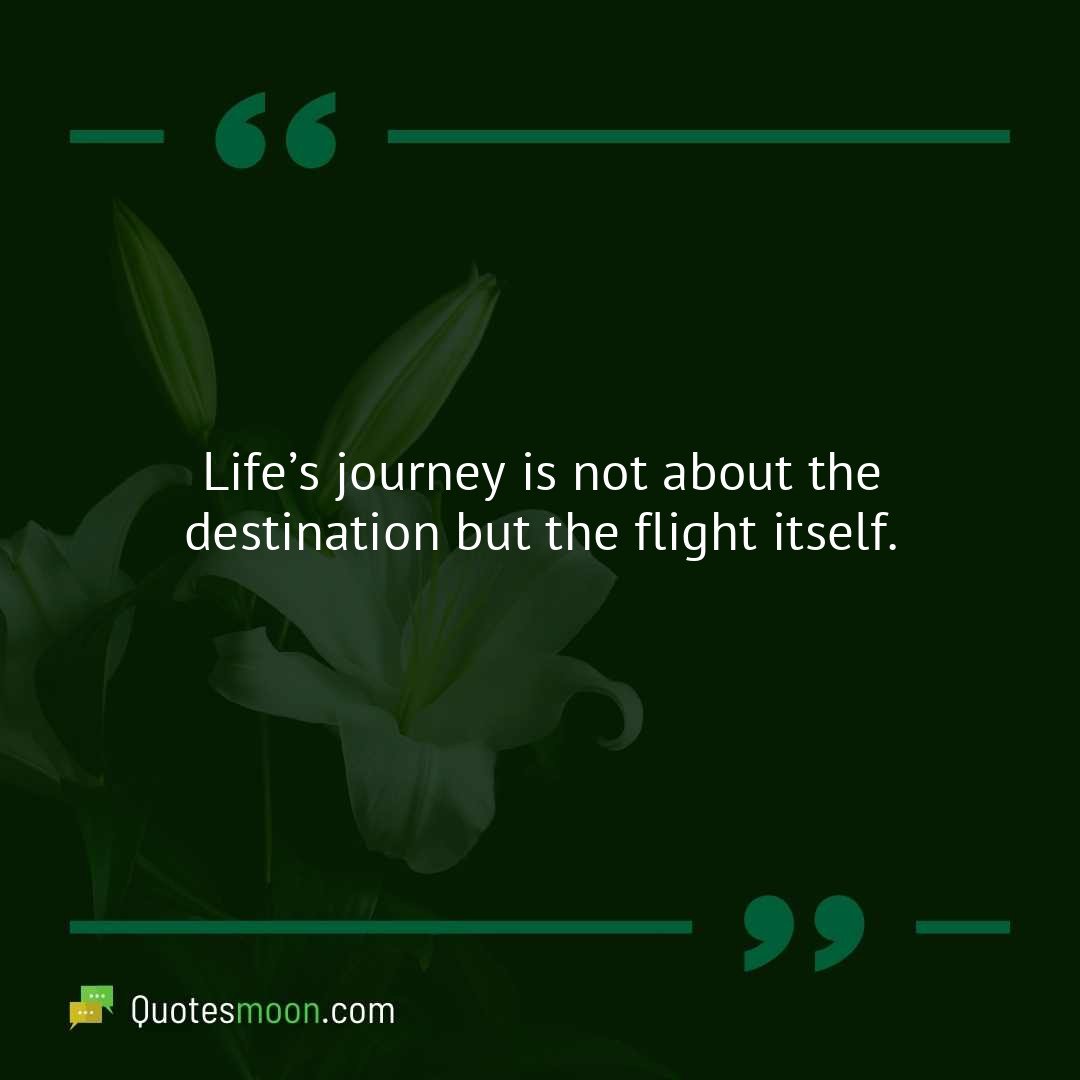 Life’s journey is not about the destination but the flight itself.