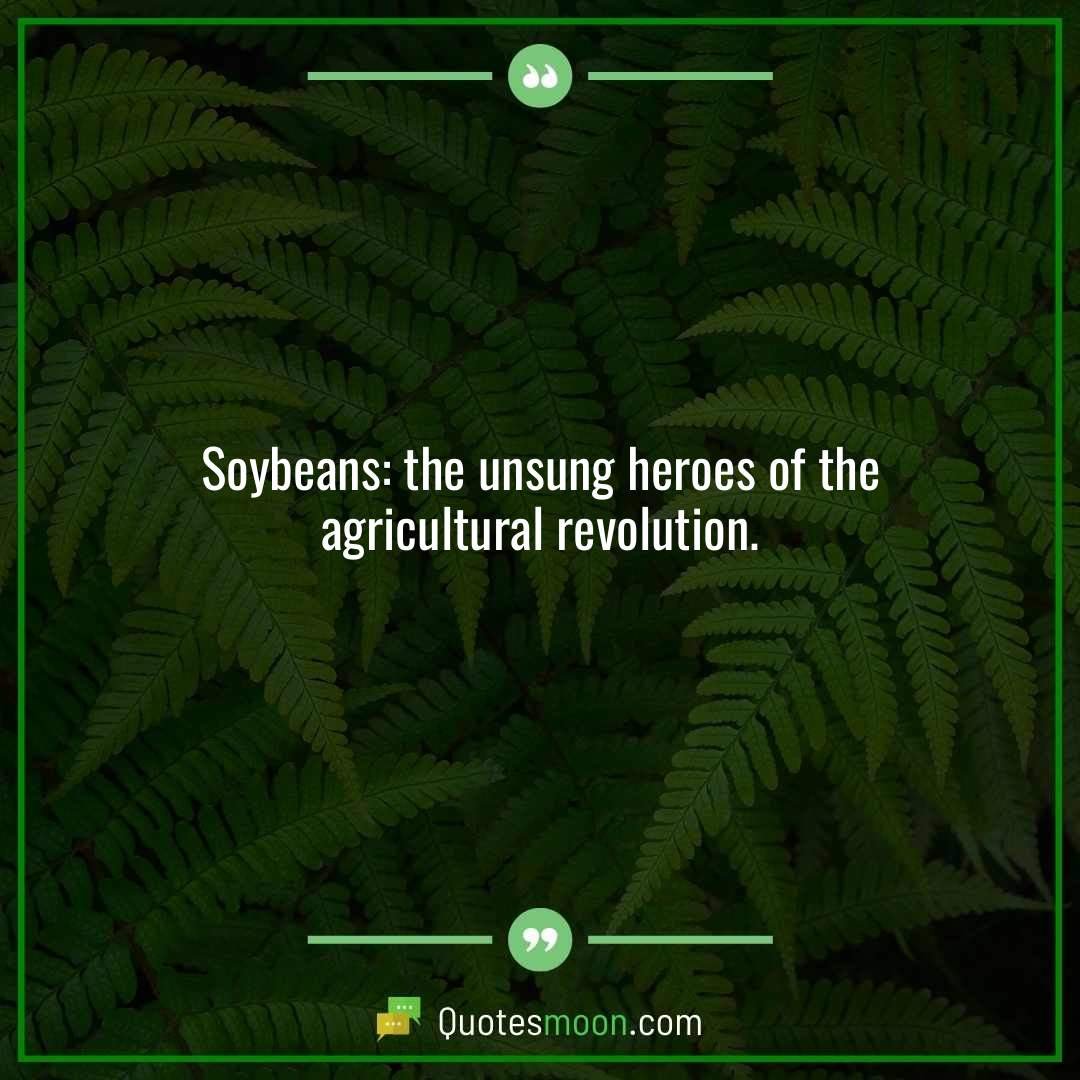 Soybeans: the unsung heroes of the agricultural revolution.