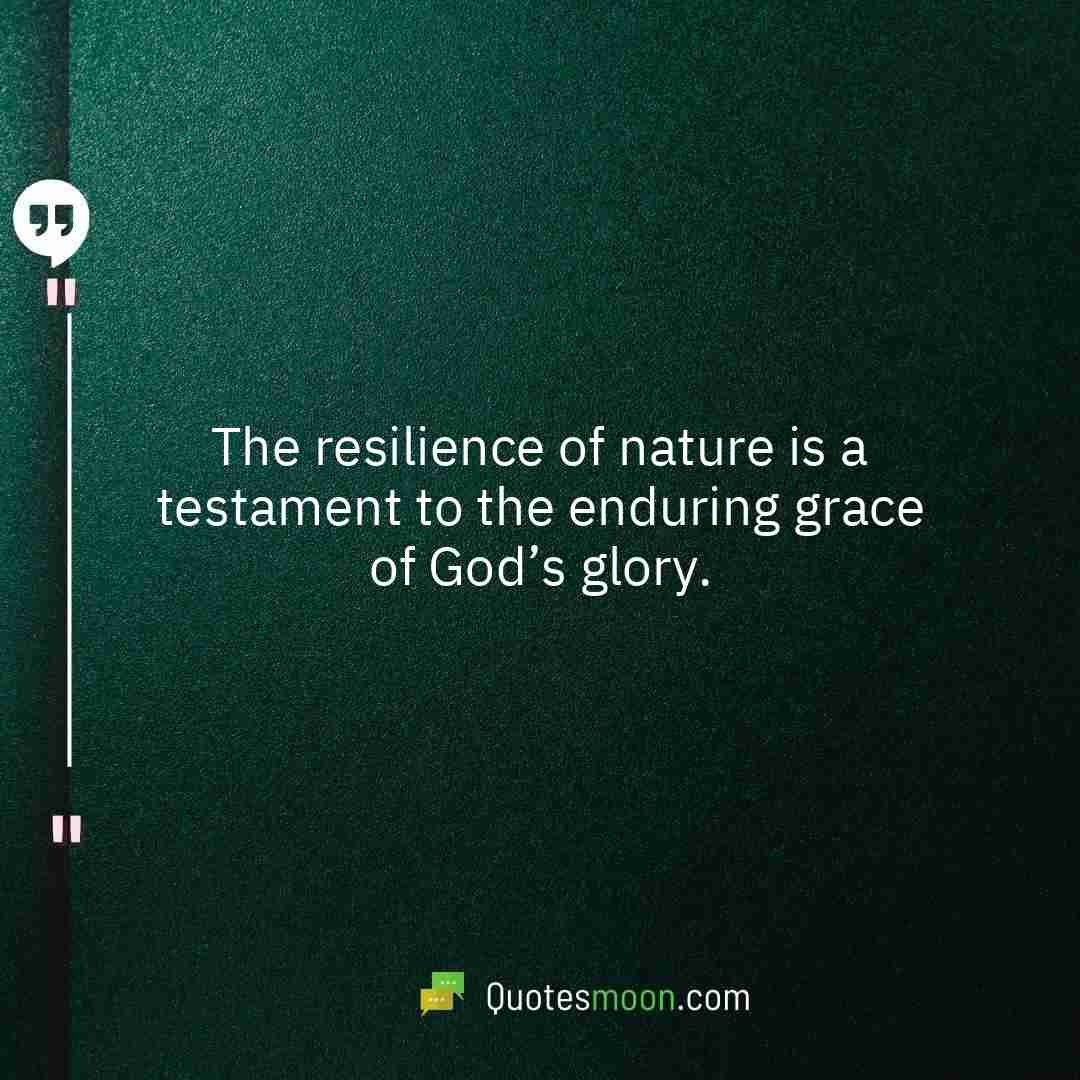 The resilience of nature is a testament to the enduring grace of God’s glory.