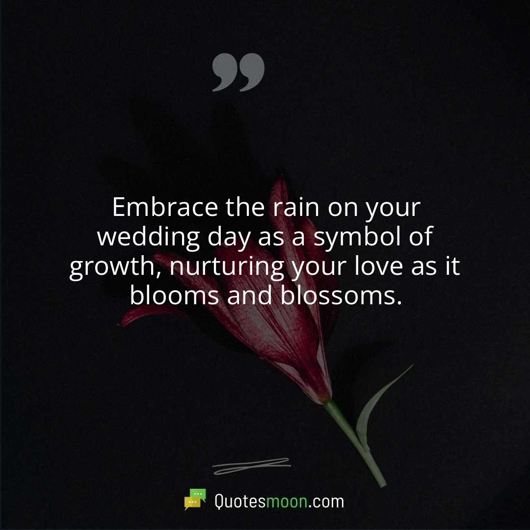 Embrace the rain on your wedding day as a symbol of growth, nurturing your love as it blooms and blossoms.