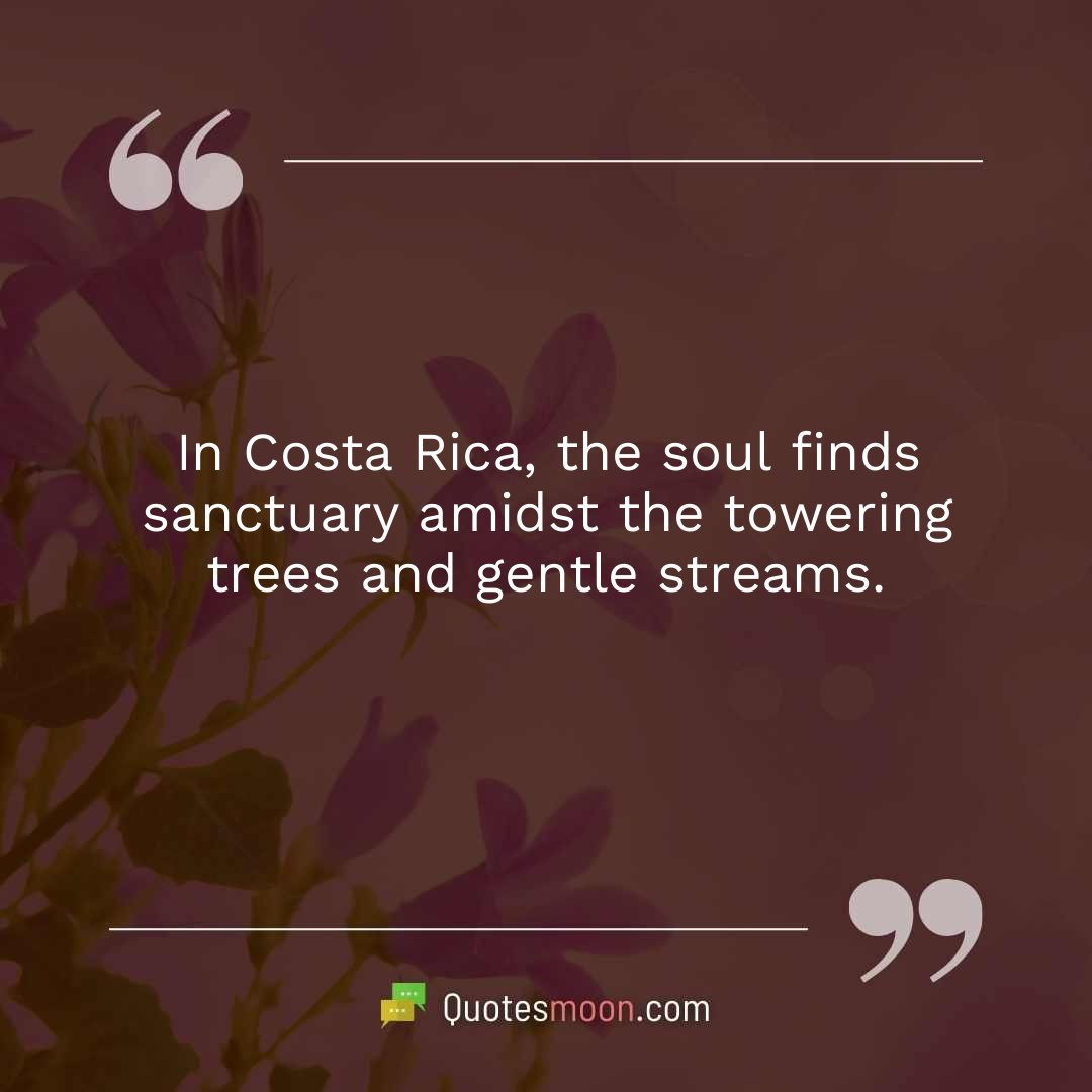 In Costa Rica, the soul finds sanctuary amidst the towering trees and gentle streams.