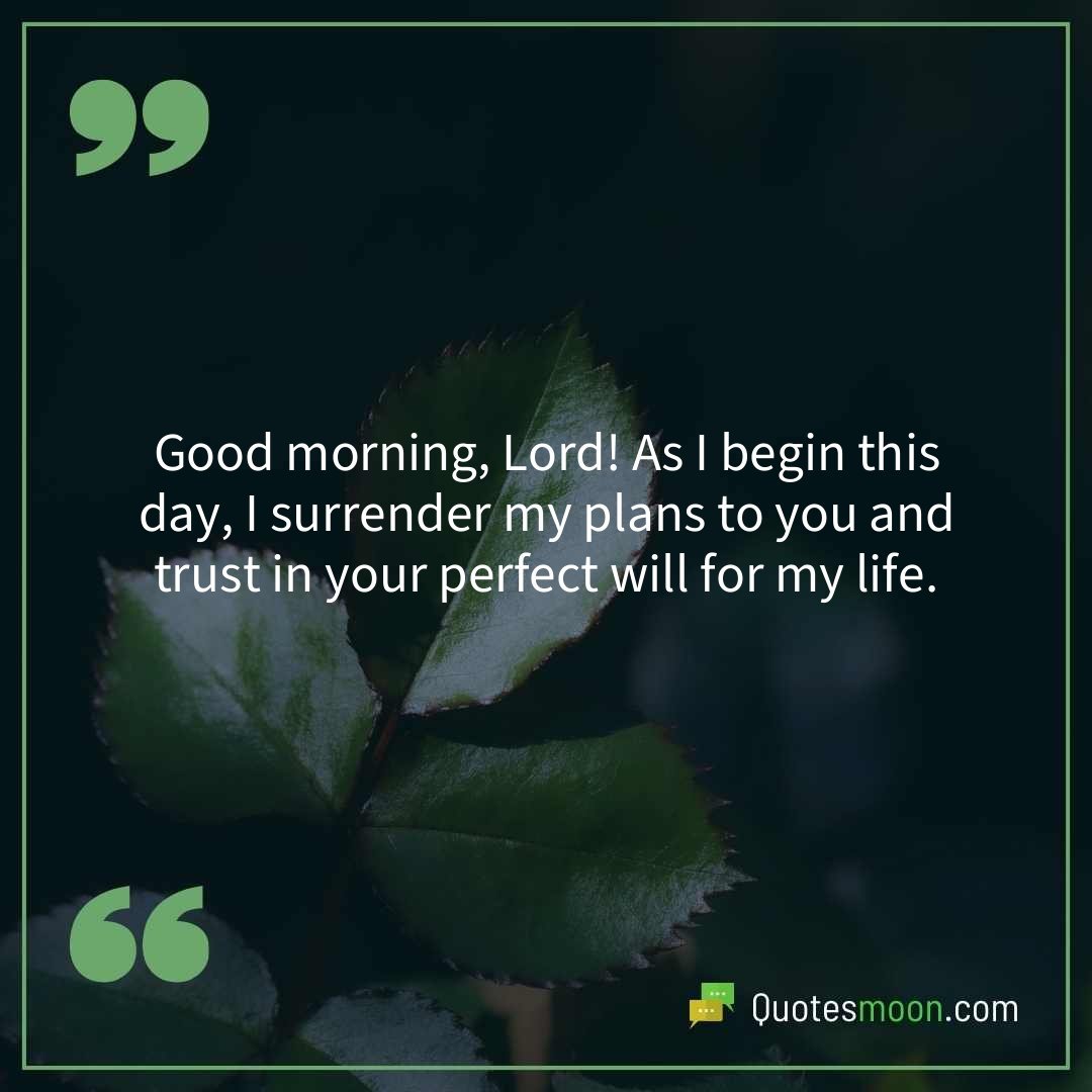 Good morning, Lord! As I begin this day, I surrender my plans to you and trust in your perfect will for my life.