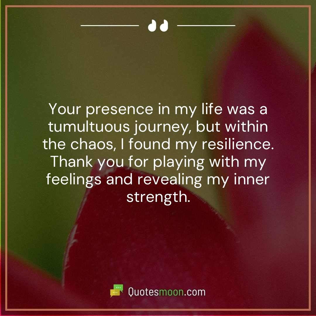 Your presence in my life was a tumultuous journey, but within the chaos, I found my resilience. Thank you for playing with my feelings and revealing my inner strength.