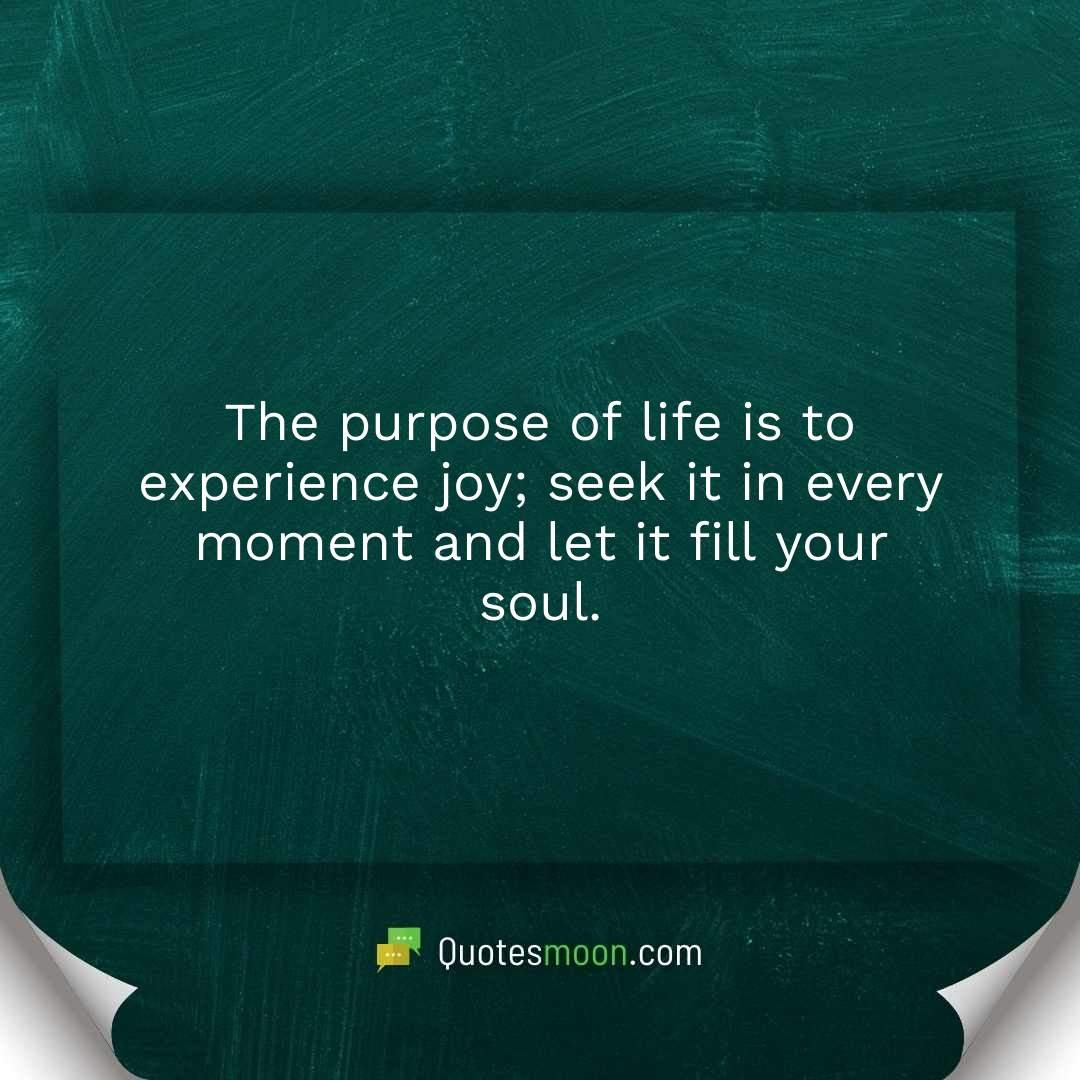The purpose of life is to experience joy; seek it in every moment and let it fill your soul.