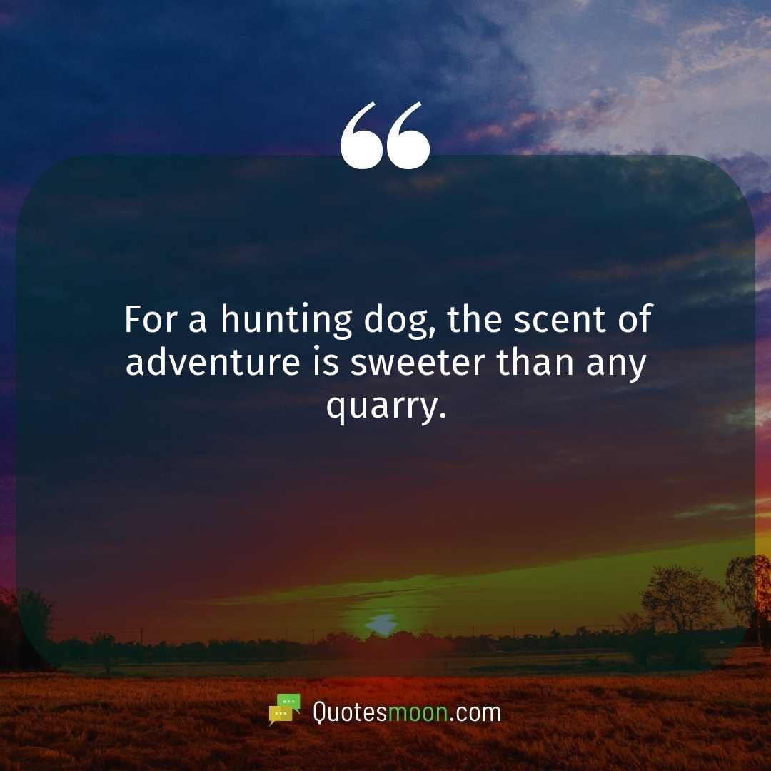 For a hunting dog, the scent of adventure is sweeter than any quarry.