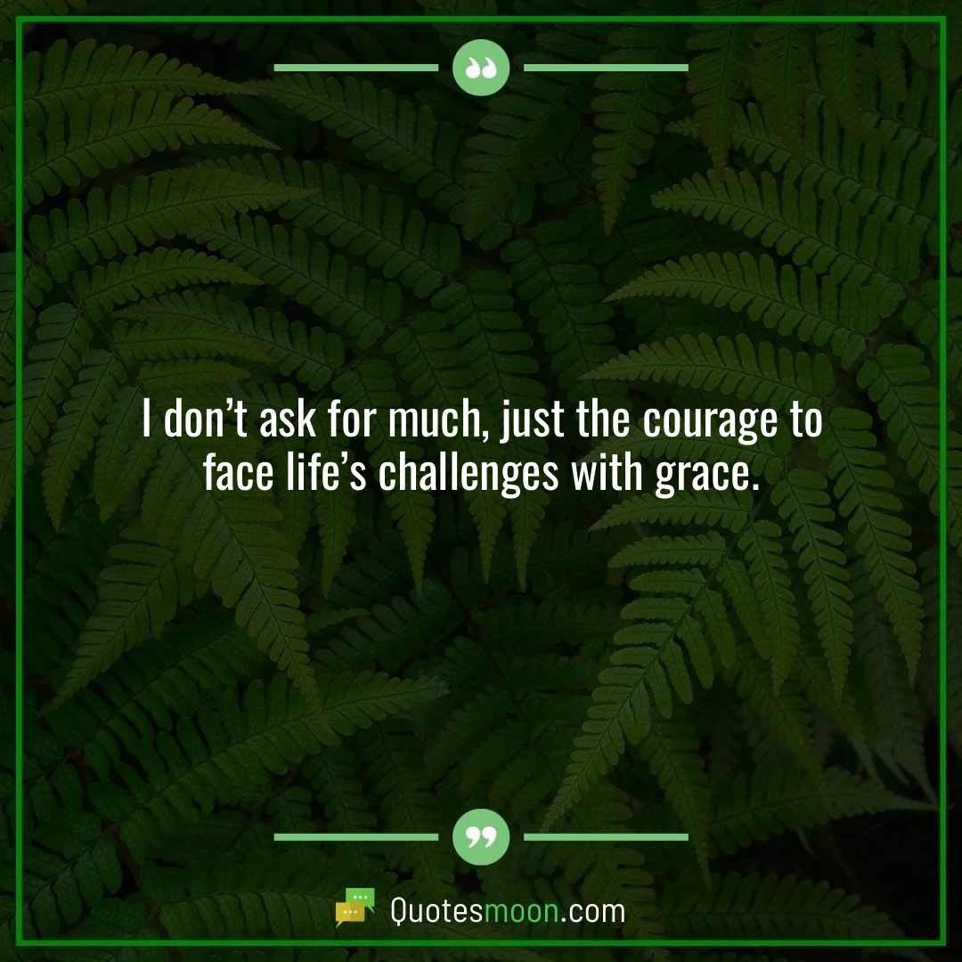 I don’t ask for much, just the courage to face life’s challenges with grace.
