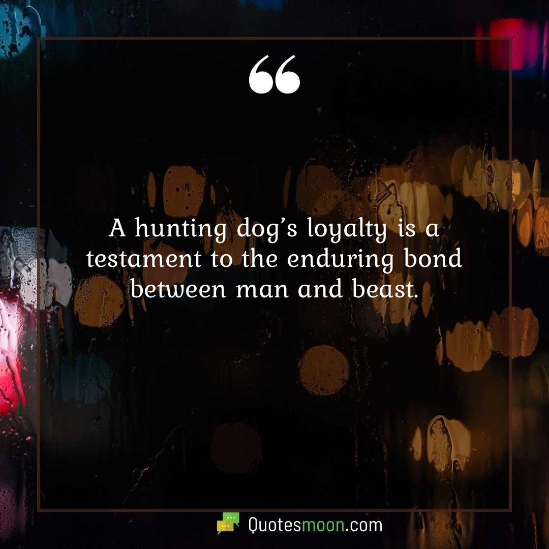 A hunting dog’s loyalty is a testament to the enduring bond between man and beast.