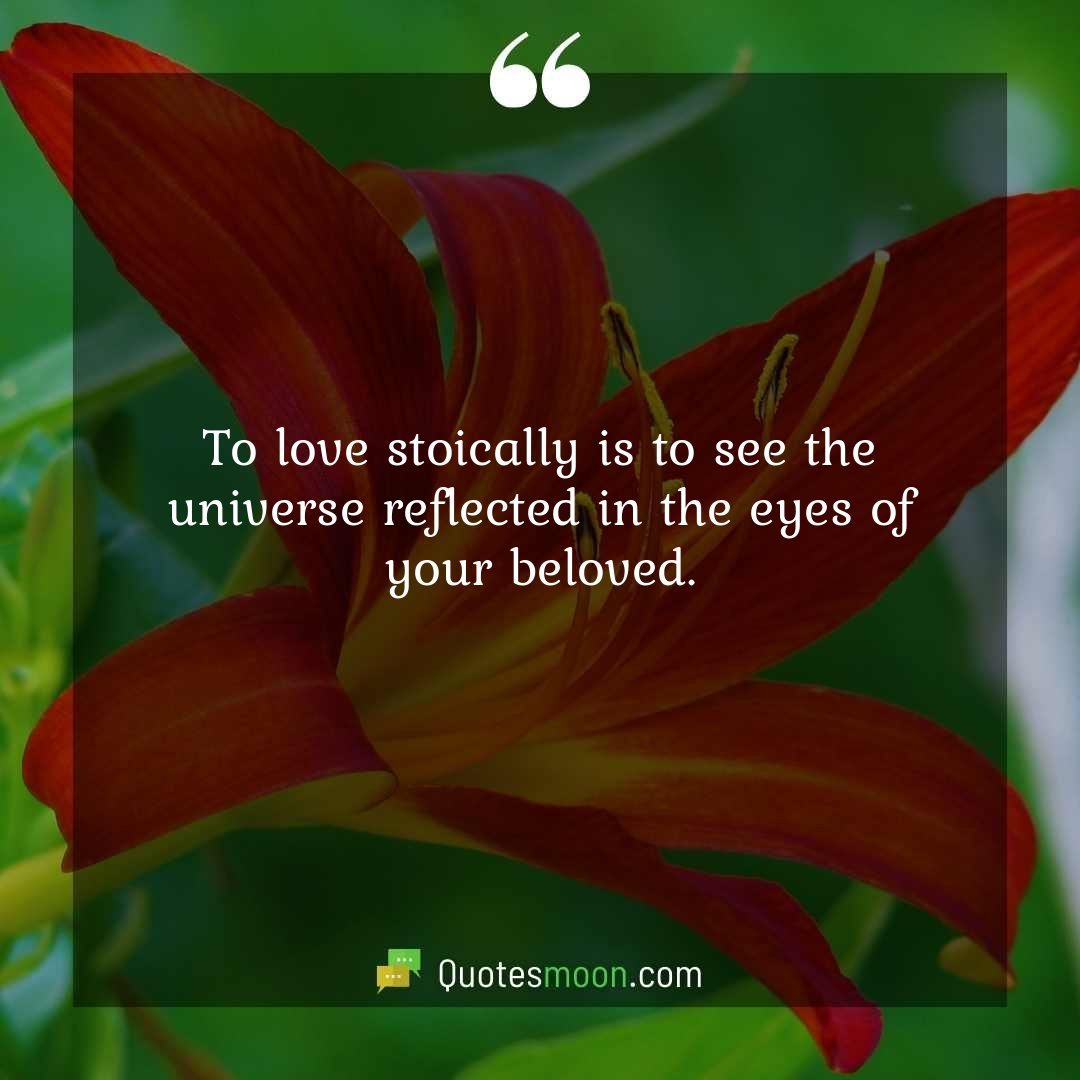 To love stoically is to see the universe reflected in the eyes of your beloved.