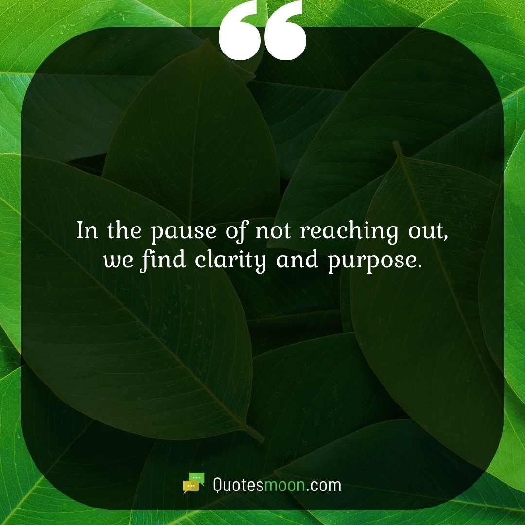 In the pause of not reaching out, we find clarity and purpose.