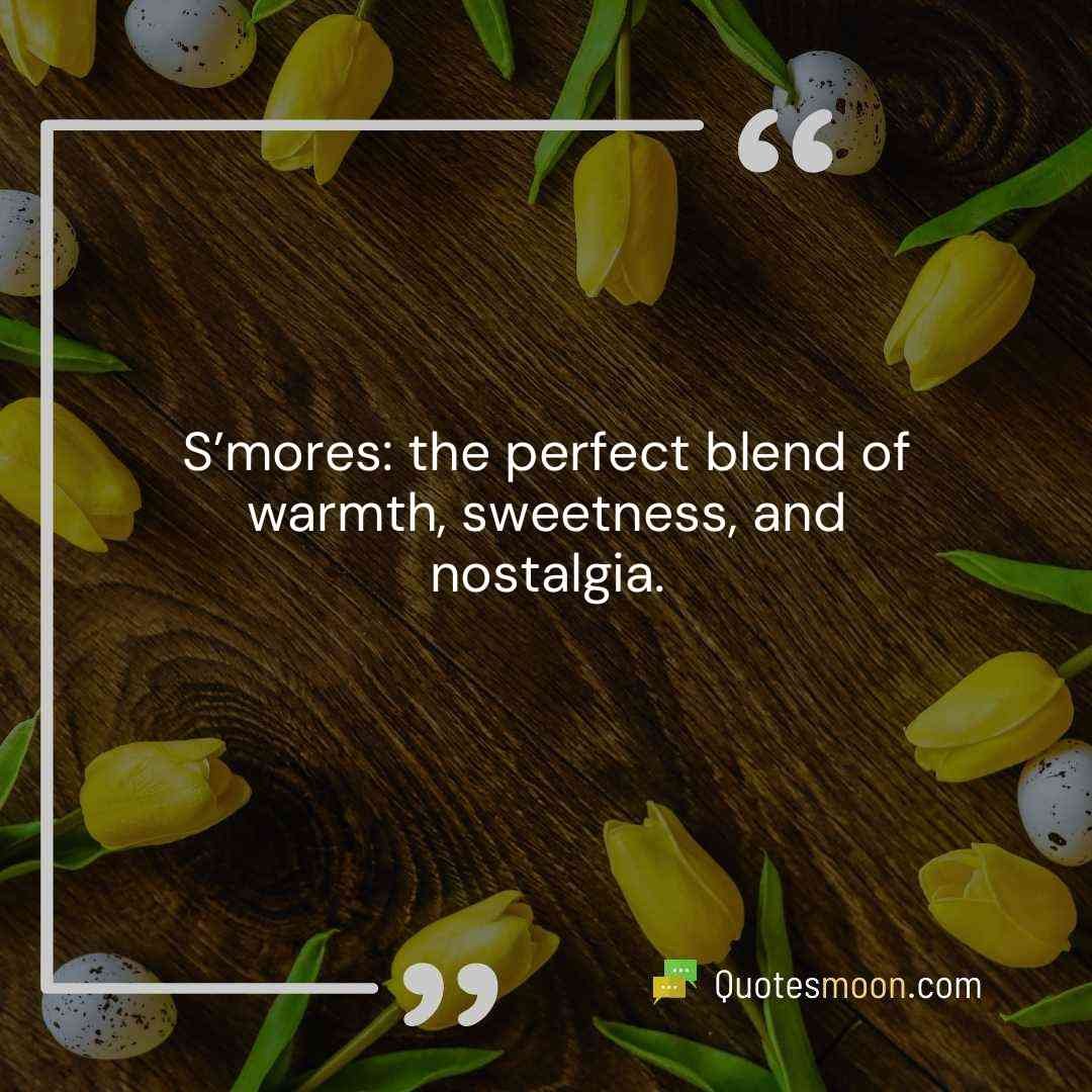 S’mores: the perfect blend of warmth, sweetness, and nostalgia.