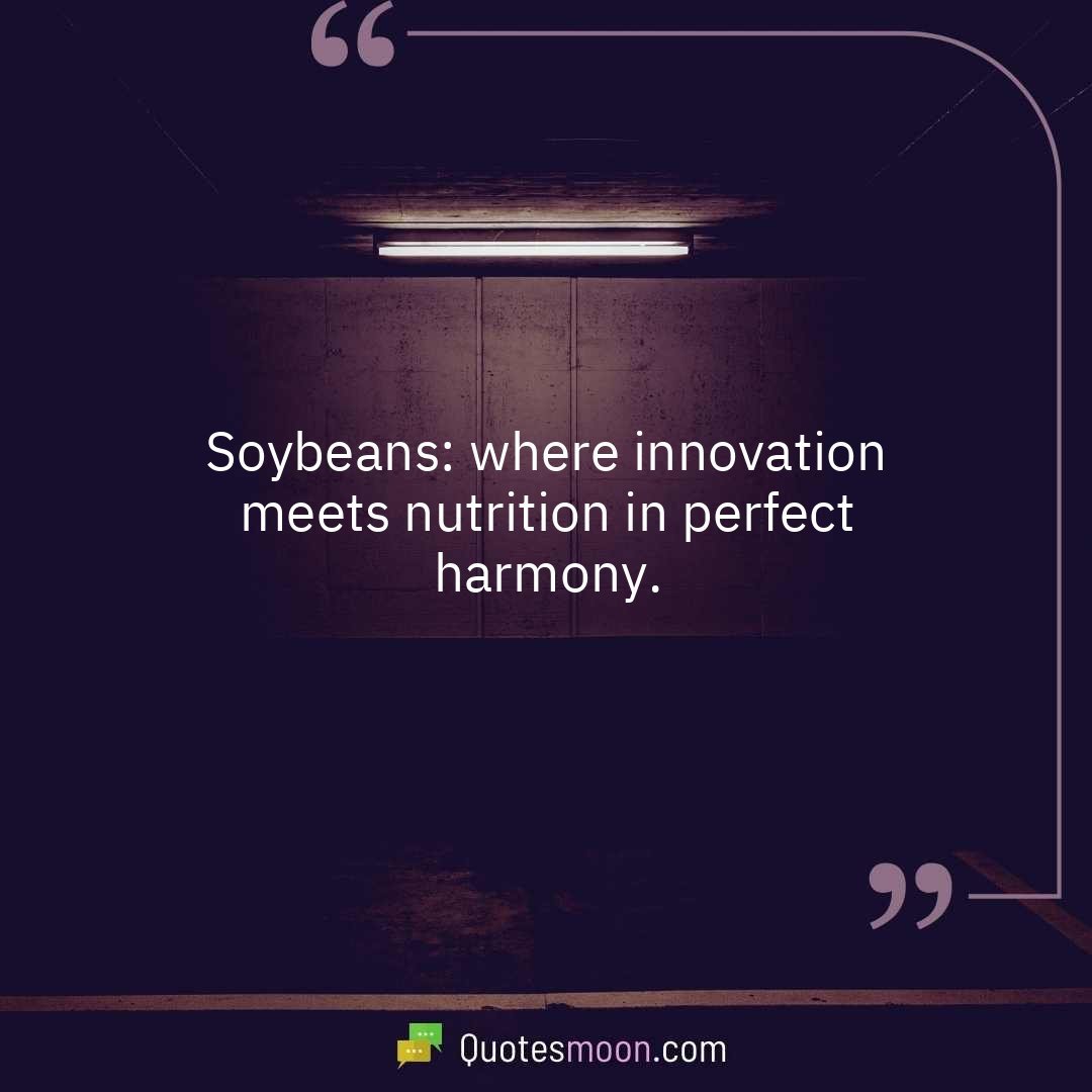 Soybeans: where innovation meets nutrition in perfect harmony.