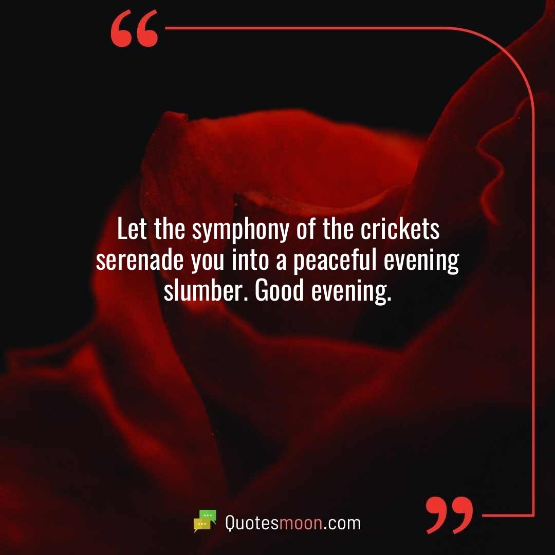 Let the symphony of the crickets serenade you into a peaceful evening slumber. Good evening.