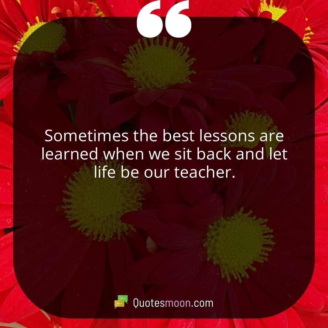 Sometimes the best lessons are learned when we sit back and let life be our teacher.